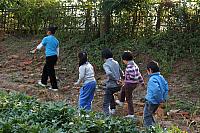 DSC08596