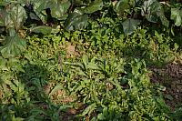 DSC08610