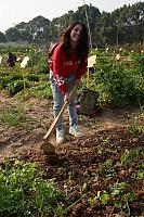 DSC08670