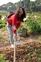 DSC08682