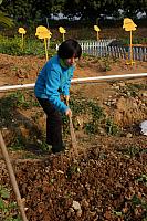 DSC08700