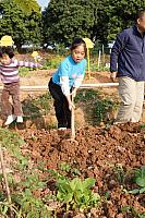 DSC08770