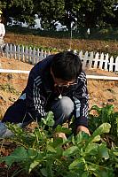 DSC08863