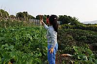 DSC08936