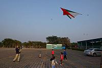 DSC08994