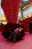 DSC00321