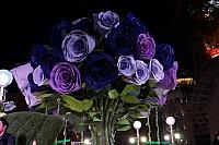 DSC00466