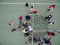 DJI 0461